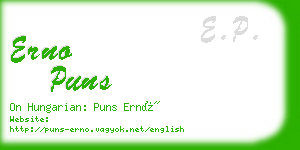 erno puns business card